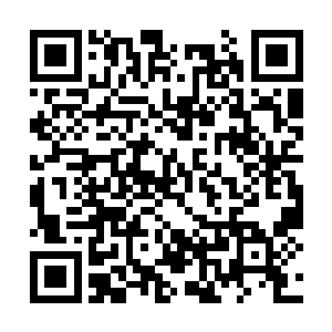 他就不会在军中大肆宣扬要在十日之内取下临江城二维码生成