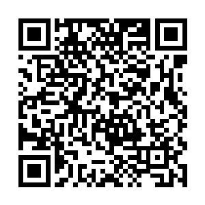 他就假装自己带他们进来是喝茶至于皇帝心里怎么想二维码生成