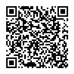 他就再也不认为剑尘加上自己三名太上长老可以力敌蛟龙强盗团了二维码生成