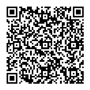 他就再也没有展现出和一般的蹭吃蹭喝的家伙不同的地方了――除了在费德勒工作的时候上蹿下跳瞎指挥二维码生成