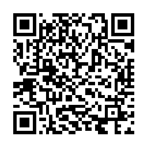 他就再也没有说过那些足矣让人崩溃的恶毒语言……二维码生成