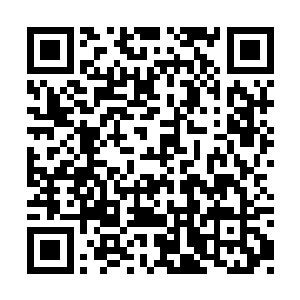 他就历史上第二次夺得戛纳电影节的金棕榈大奖二维码生成