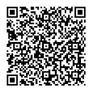 他就开始收集各种强大的妖魔残骸和各种用得着的法宝来构筑自己重生一来第一只真正意义上的强大召唤兽二维码生成