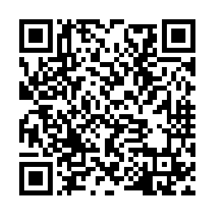 他就感觉到自己一身宗师级的修为也全部都回来了二维码生成
