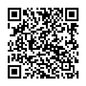 他就是从一个扩脉境的修士成为了一名聚灵境的修士二维码生成