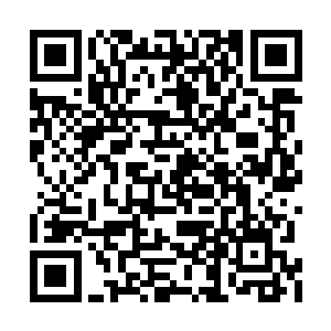 他就是当年救了你娘亲和弟弟的水鬼圣域的圣主二维码生成