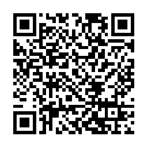 他就是要帮助夏天做一些他认为自己力所能及的小事二维码生成