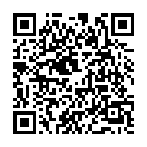 他就有信心用闪电般的速度完成这一轮的晋级考核二维码生成