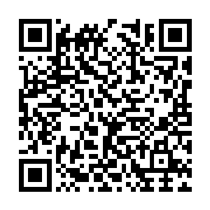 他就看到了一大群啮齿类动物魔化之后群居在一起二维码生成