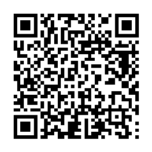 他就看到那两个说说笑笑的三年级学生进入了林区二维码生成