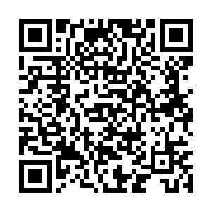 他就觉得自己的剑抵住的根本不是一根软鞭的末稍二维码生成