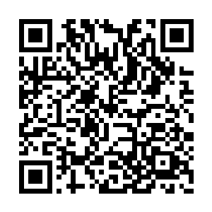 他居然在紫袍祭祀的书桌下找到了一张自然之叶二维码生成