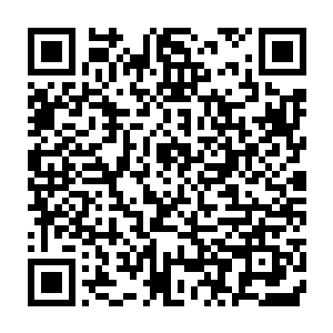 他居然当着这么多人的面来调戏海族最有智慧一族的海豚族的小公主二维码生成