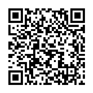 他左看右看就是没有看到这嗡嗡声是从哪里出来的二维码生成