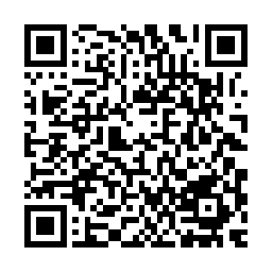 他已然断定这必是自己那位正妃和凤羽珩之间事先商量好的计策二维码生成
