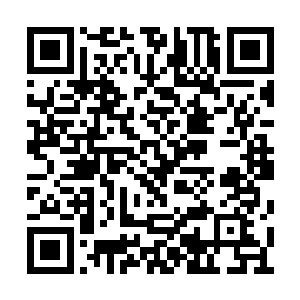 他已经做好了和这个渡劫高手正面一战的准备了二维码生成