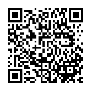 他已经凶悍无比的杀来了……似乎他已经被秦方彻底的激怒了二维码生成