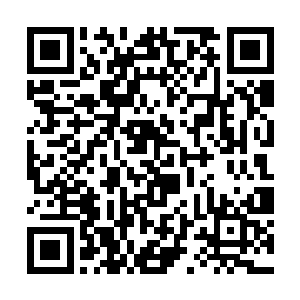 他已经可以预见到自己今后在队伍里的处境和地位了二维码生成