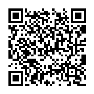 他已经感觉到一股奇特的力量在神尊碎片之中流转二维码生成