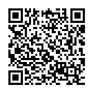 他已经感觉到了一股强大的威胁从那一阵阵晦涩的梵音之中传来二维码生成