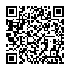 他已经掌握有攻击性最强的剑道法则和毁灭法则二维码生成
