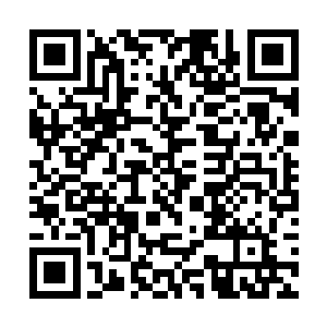 他已经有一段时间没有如这般单纯的使用身体战斗了二维码生成