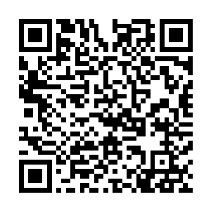 他已经轻松把自己的天地之力和夏雨牵动的天地之力融合了二维码生成