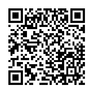 他并没有试图去寻找一下那朵可以帮助人打破桎梏的彼岸花二维码生成