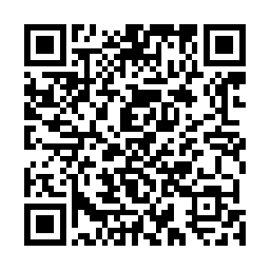 他应该不知道自己的姓名……不应该在这时候出手报复吧二维码生成