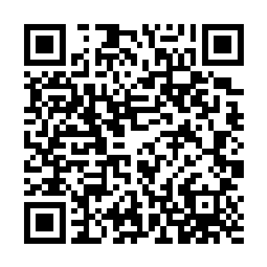 他开始还以为鲍奇和沙雅两位魔王当中有谁背叛了自己二维码生成