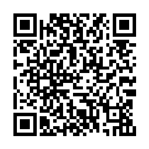 他强大的精神力的恢复速度终于开始显现出来了二维码生成