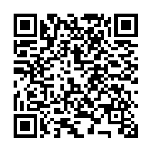 他当然知道武道之心对武者的修行有着多么巨大的作用二维码生成