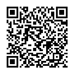 他很想俯下身亲吻那张略显苍白而又有些娇羞的玉靥二维码生成