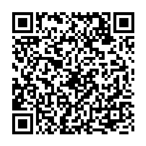 他得到第三层传承时就知道他们鲲鹏族可以在很小的时候就选定伴侣二维码生成