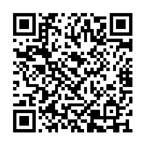 他心中实在难以理解修罗怎么会听一个人类的话二维码生成