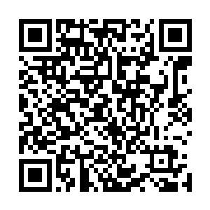 他心中竟然一点都不嫌恶这个被父母形容的一无是处的女儿二维码生成