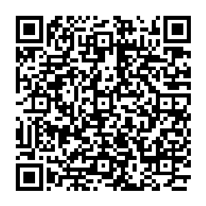 他心里也并不认为光靠奥杜尔这种半吊子的不朽强者就能干掉这些连督瑞尔都没能干掉的二维码生成