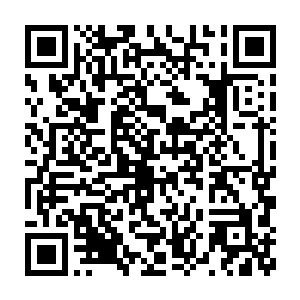 他心里明白以龙傲天刚才使用战技的情况来看根本不可能就这点威力的二维码生成