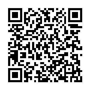 他必须寻得各种各样的天材地宝让他们快速成长二维码生成