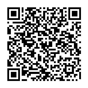 他怎么不知道这位差点把帝国学院那位慕容小姐的毛拔了差点吃掉的小幼崽二维码生成