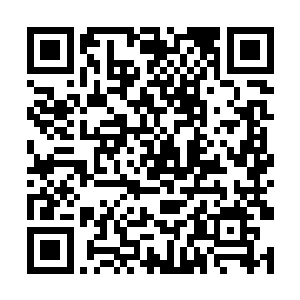 他怎么也不相信夏天一个人就把这二十人全都打倒了二维码生成