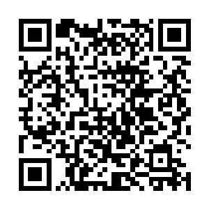 他怎么也没想到池佳一居然挥手之间就造出了一个人来二维码生成