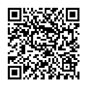 他怎么会不知道华夏宗才刚刚建立正是需要他们的时候二维码生成