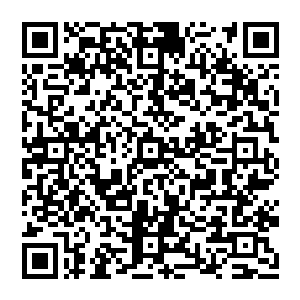 他怕因为自己不小心的动弹而促使叶秋这一刀划下去……这种投鼠忌器的感觉真他妈让人觉得憋屈二维码生成