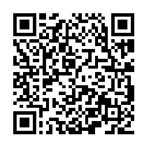 他总不至于真的愚蠢到……以为给了你这些东西二维码生成
