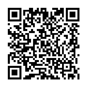 他总是能在第一时间叫出战队里每一个人的名字二维码生成