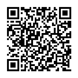 他总觉得奥尔的忽然康复与少年存在莫大的关系二维码生成