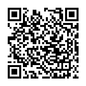 他恋恋不舍的把印章交到了老马的手里去鉴定真伪二维码生成