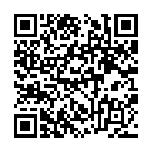 他恍惚间似从云甄夫人眼中看到了一抹别样的情愫二维码生成