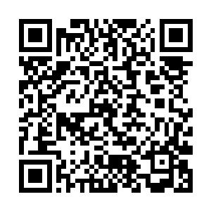 他想到最近一个月在广海市闹得人尽皆知的恐怖事件二维码生成